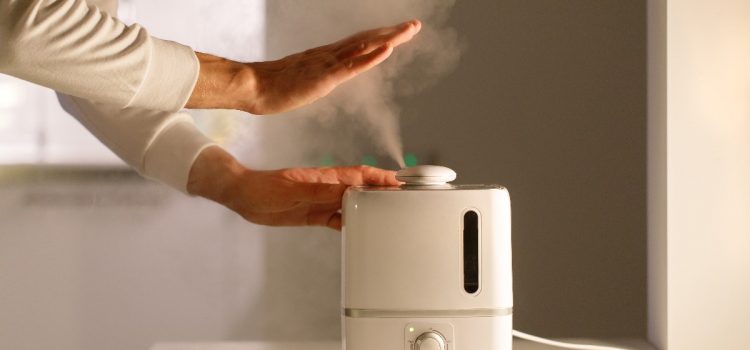 Dry air at home – how to humidify it during the heating season?