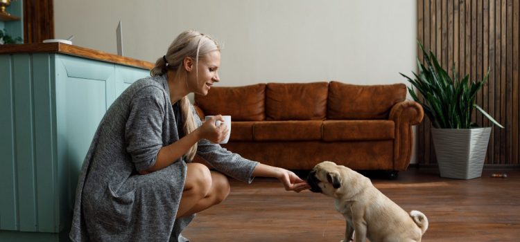 What must a puppy’s diet contain?