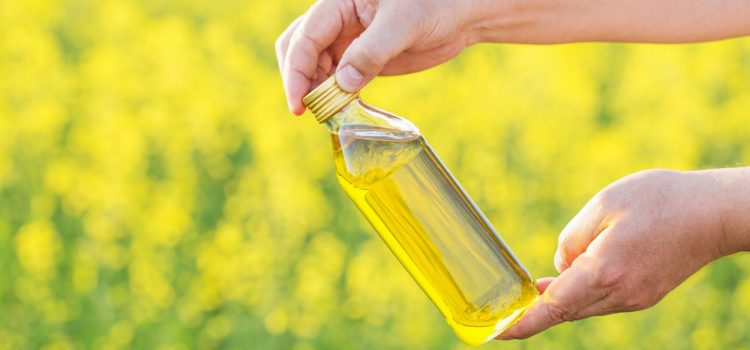 Canola oil vs sunflower oil – what is the difference?