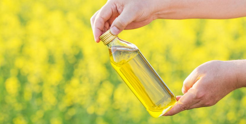 Olej rzepakowy a słonecznikowy – jaka jest różnica?