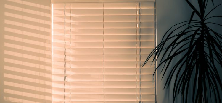 Can roller blinds replace curtains and drapes?