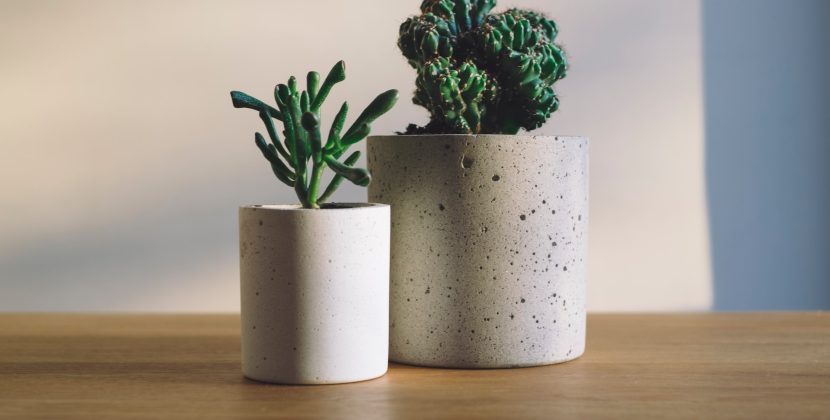 What are the best pots for houseplants?