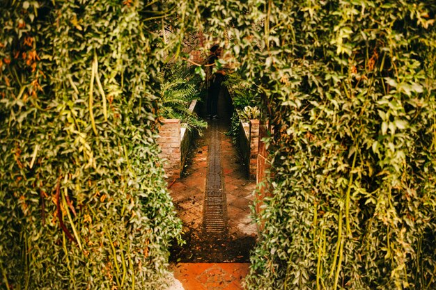 How Can Garden Design Reflect the Cultural History of a Region?